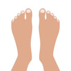 Obraz premium Top of Feet Foot vector illustration graphic cartoon