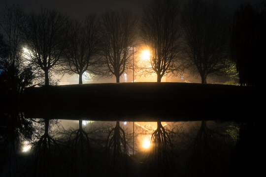 Trees reflected in water on a winters night
