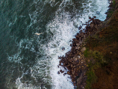 Foamy waves of sea near rocky shore