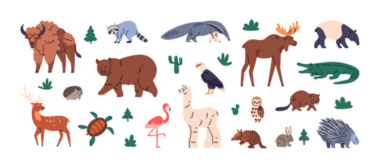 Wild animals set. North and South American fauna. America wildlife, mammals species. Exotic crocodile, llama, porcupine, raccoon, tapirus and elk. Flat vector illustration isolated on white background