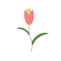 Tulip Element