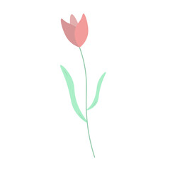 Tulip Element