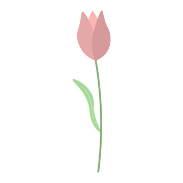 Tulip Element