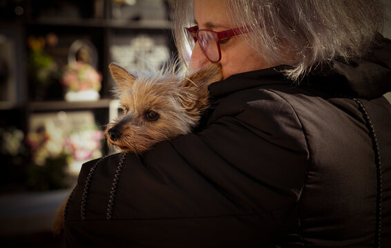 Mature lady hugging her small dog in cemetery