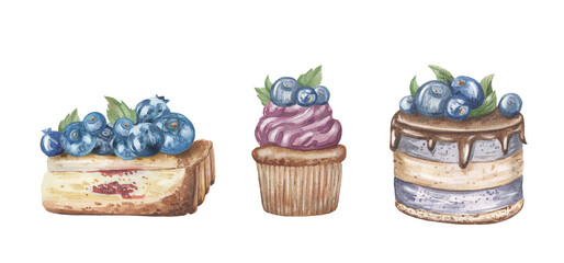 Watercolor set blueberry sweets cupcakes