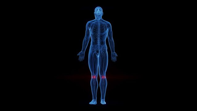 3D rendered medical animation of a nerve scan