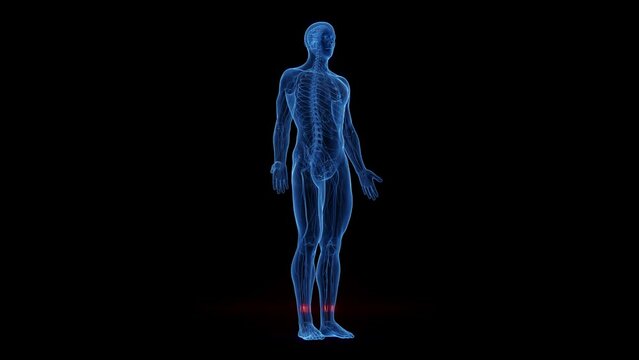 3D rendered medical animation of a nerve scan
