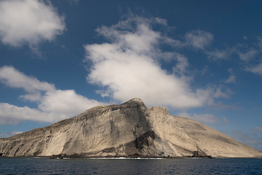 San Benedicto Island, Revillagigedo Islands, Colima, Mexico