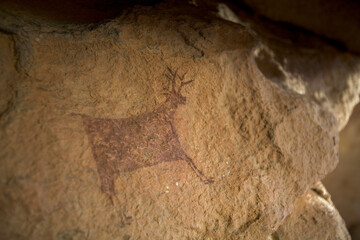 Deer painting in a cave.