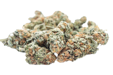 Isolated marijuana buds. Png file