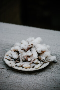 Frozen cigarette buts on a table outdoors. 