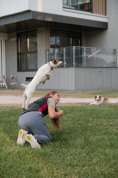 Dog jumping from back of owner