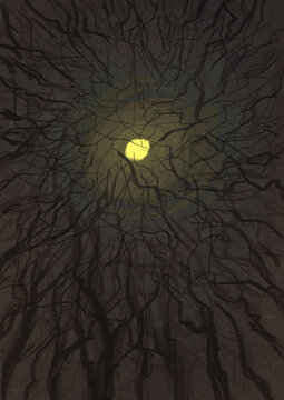 Follow the Moon among the Branches of Gloom