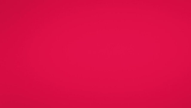 Flying Coconut and Coconuts slices in Fuchsia Pink Background