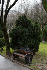 Empty bench in park on rainy day