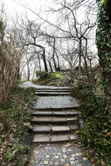  Old dilapidated steps stone stairs in the park