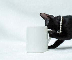 Coffee mug with a black kitten clawing and licking the handle of the cup on the white background