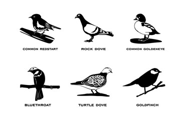 Set of birds isolated on white background. Collection of birds silhouettes on black color in minimal style. vector illustration
