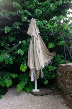 Parasol