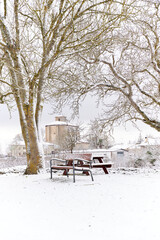 bench in the park in winter with church in the background 