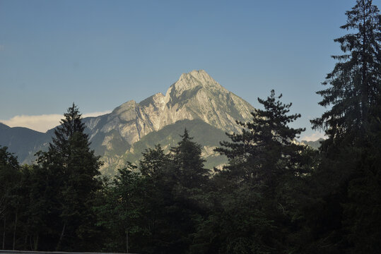 silhouette of trees and big mountain in summer in Italy