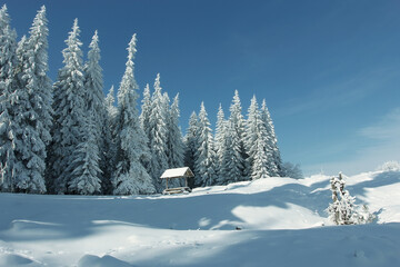 winter mountains scenery, awesome sunset landscape, Carpathian mountains, Ukraine, Europe	
