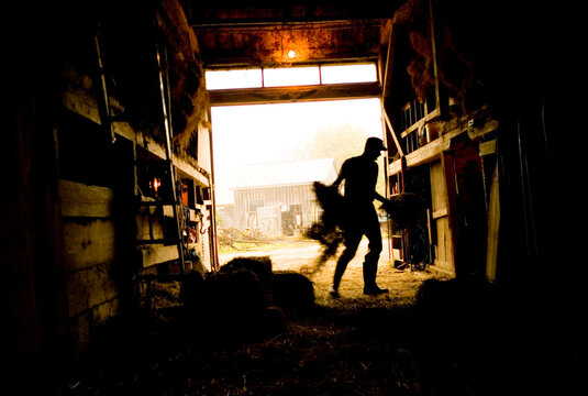 A man works in the barn in the late afternoon.