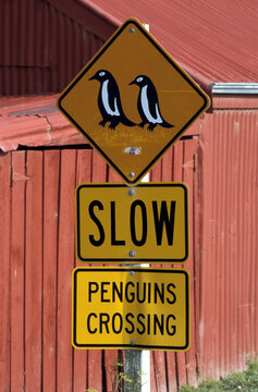 Penguin sign, Omaru, South Island, New Zealand