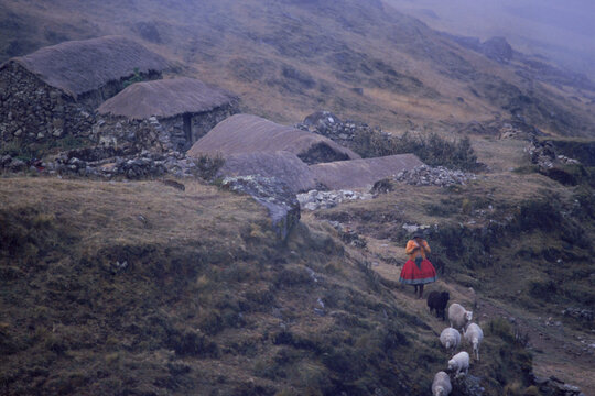 Village of Puma Chanca sheep rural village