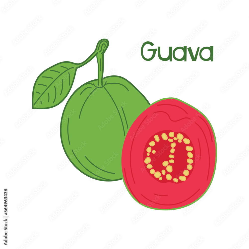 Poster guava vector. guava whole fruit and half sliced. ripe guava for package design. flat style. isolated