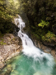 Christie Falls, a waterfall cascading through the dense rainforest near Highway 94 to Milford Sound...