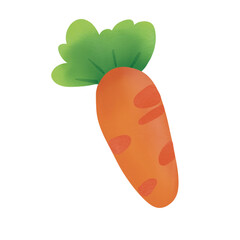Carrot is a root vegetable  watercolor