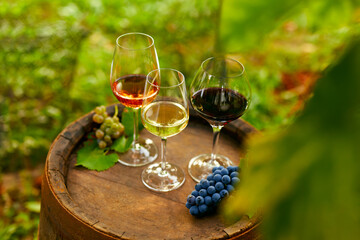 Wooden barrel with wine glasses in the vineyard - 564971013