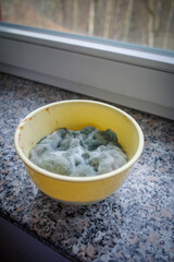 in a bowl the food is completely covered with a mold