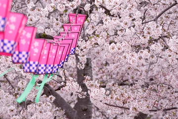 Poster 桜とランタン　春のお花見のイメージ © TOMO