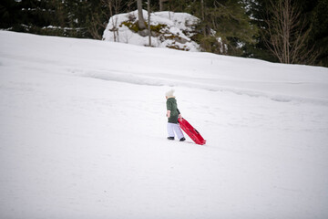 people sledding in the mountains in winter 