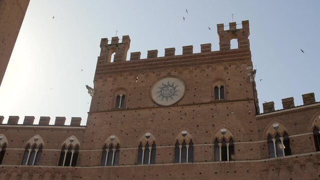 Siena town hall Palazzo Publico in early morning, birds flying around, sunrise