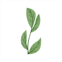 Fototapeta premium Hand Drawn Floral Decorative Elements