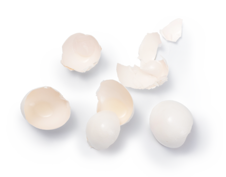 Egg shell isolated. Top view of eggshell.