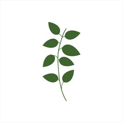 Hand Drawn Floral Decorative Elements