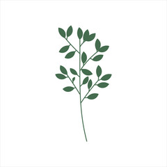 Hand Drawn Floral Decorative Elements