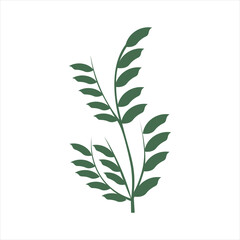 Hand Drawn Floral Decorative Elements