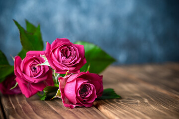 バラの花　室内スタジオ撮影