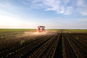 Obraz premium Tractor spraying corn field in sunset
