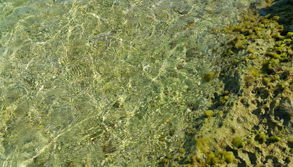 Clear sea water near the coast of Mallorca