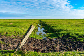 Salt marsh in the dike foreland of Hilgenriedersiel near the seaside resort of Norden on the East Frisian North Sea coast
