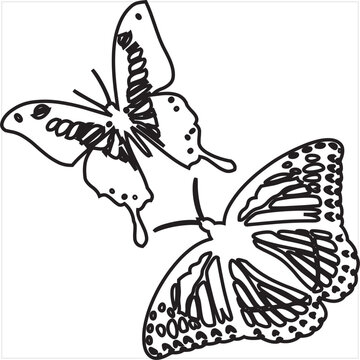 Vector, Image of butterfly chasing icon, black and white in color, with transparent background.