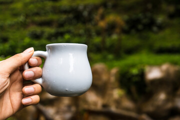 A hand holding out a cream mug with out of focus scenic background