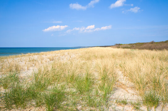 View over the dune on the coast of the Baltic Sea. White beach in front of blue sky