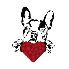 French bulldog holding a heart. Dog and heart print isolated on white background. Valentine card with animal.